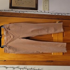 J Jill Denim pants